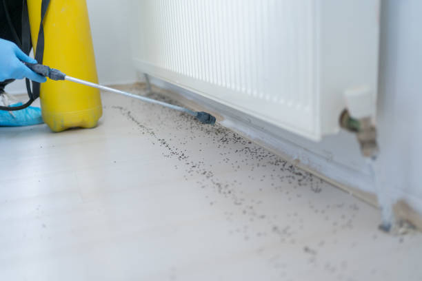 Best Pest Removal Services  in Lakes West, CT